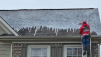 Roof Cleaning