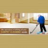 Carpet Cleaning Experts