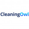 Cleaning Owl