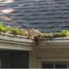 Indianapolis Gutter Cleaning